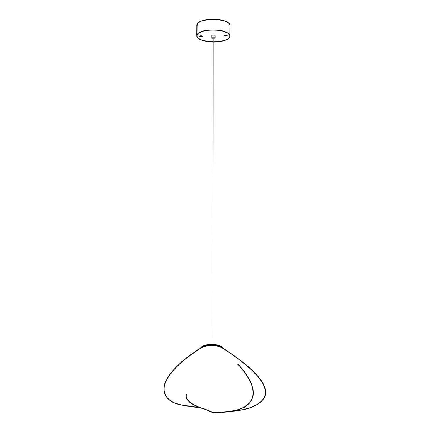 73 Random Pendant Light