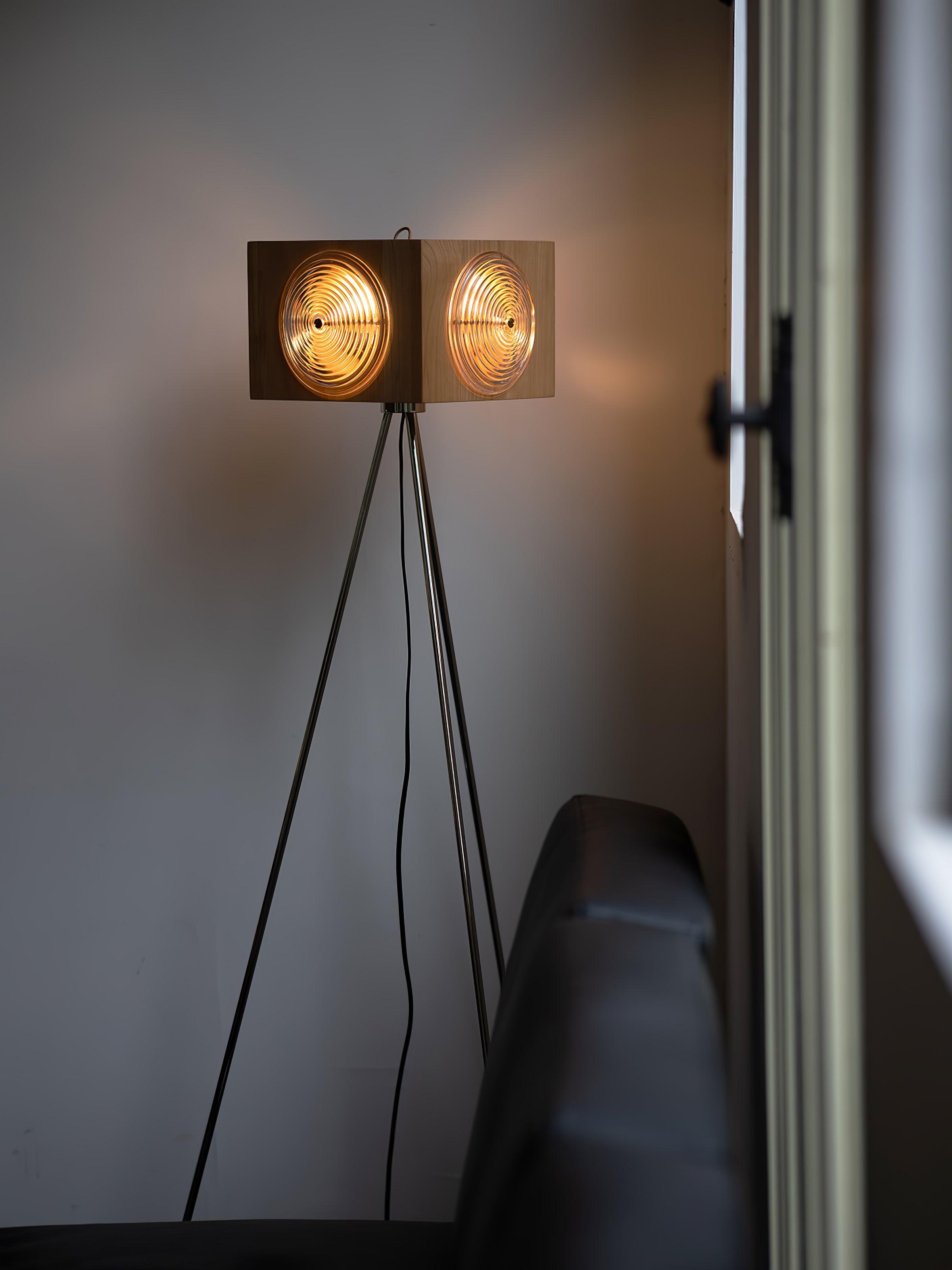 Dionna Camera Floor Lamp