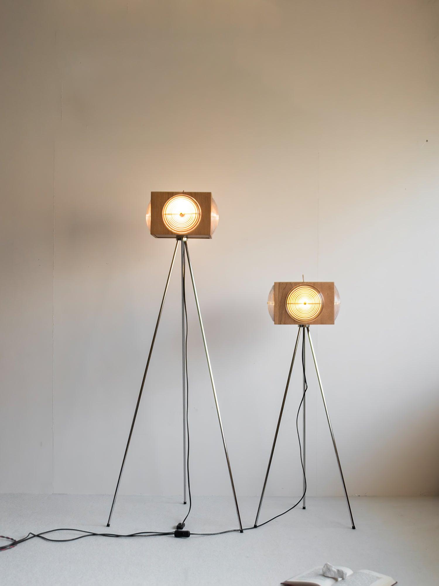 Dionna Camera Floor Lamp