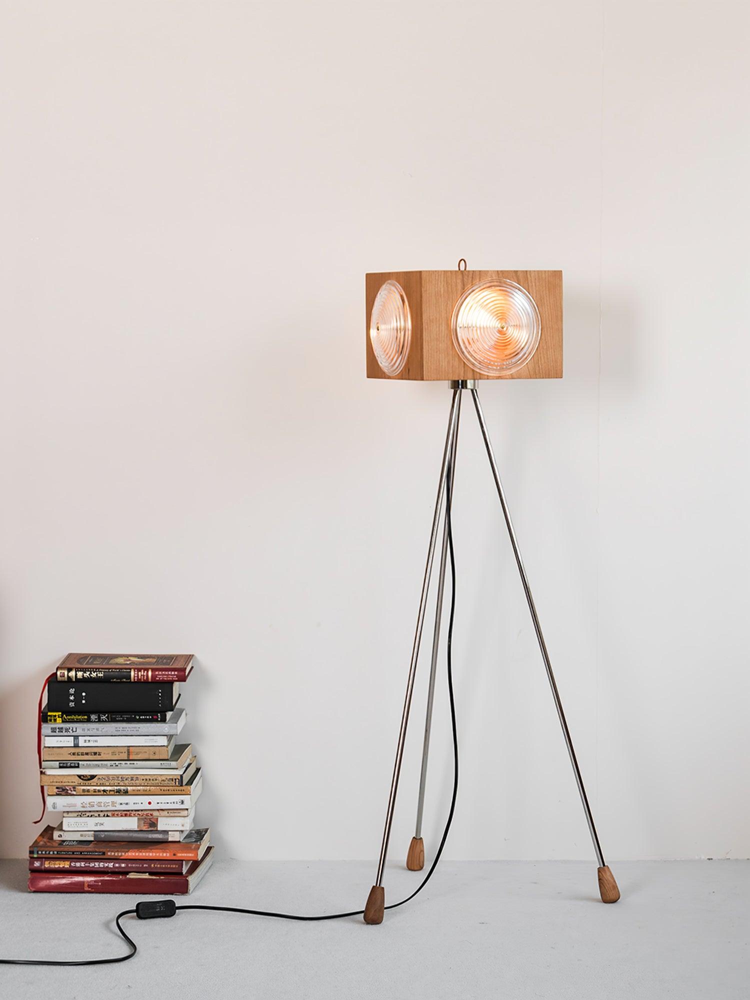 Dionna Camera Floor Lamp