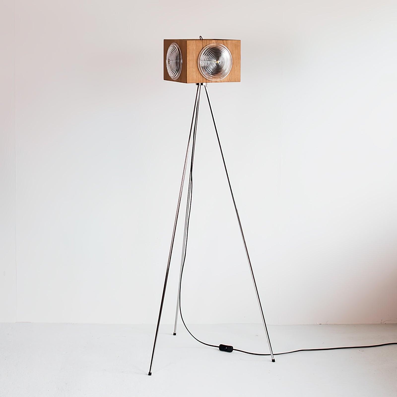 Dionna Camera Floor Lamp