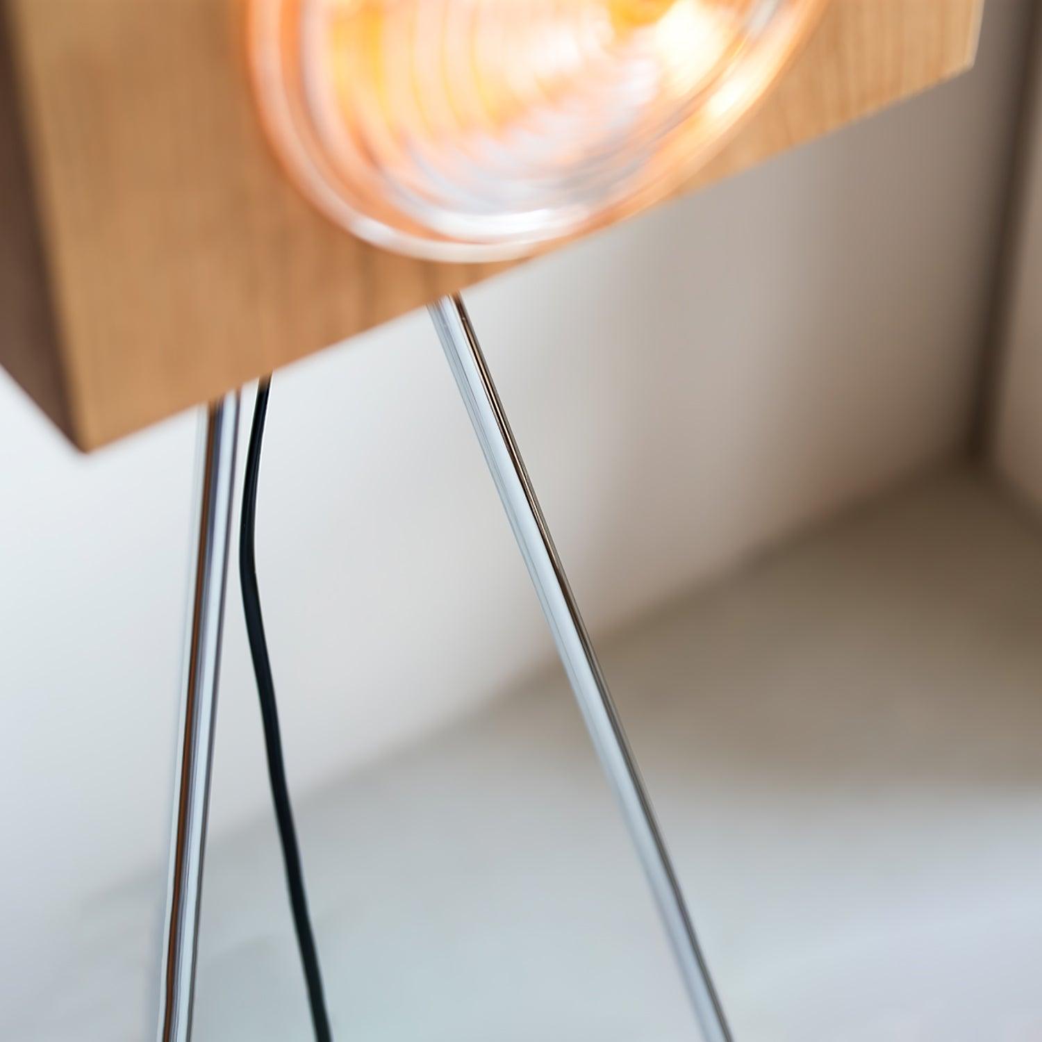 Dionna Camera Floor Lamp