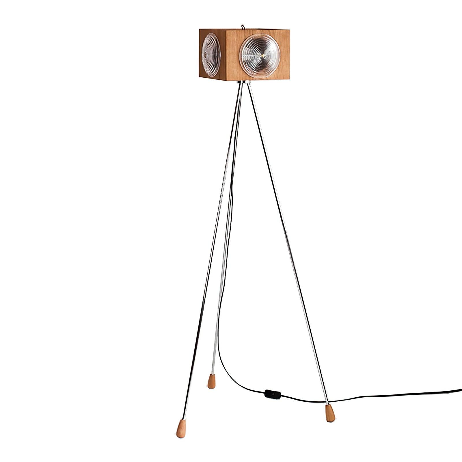 Dionna Camera Floor Lamp