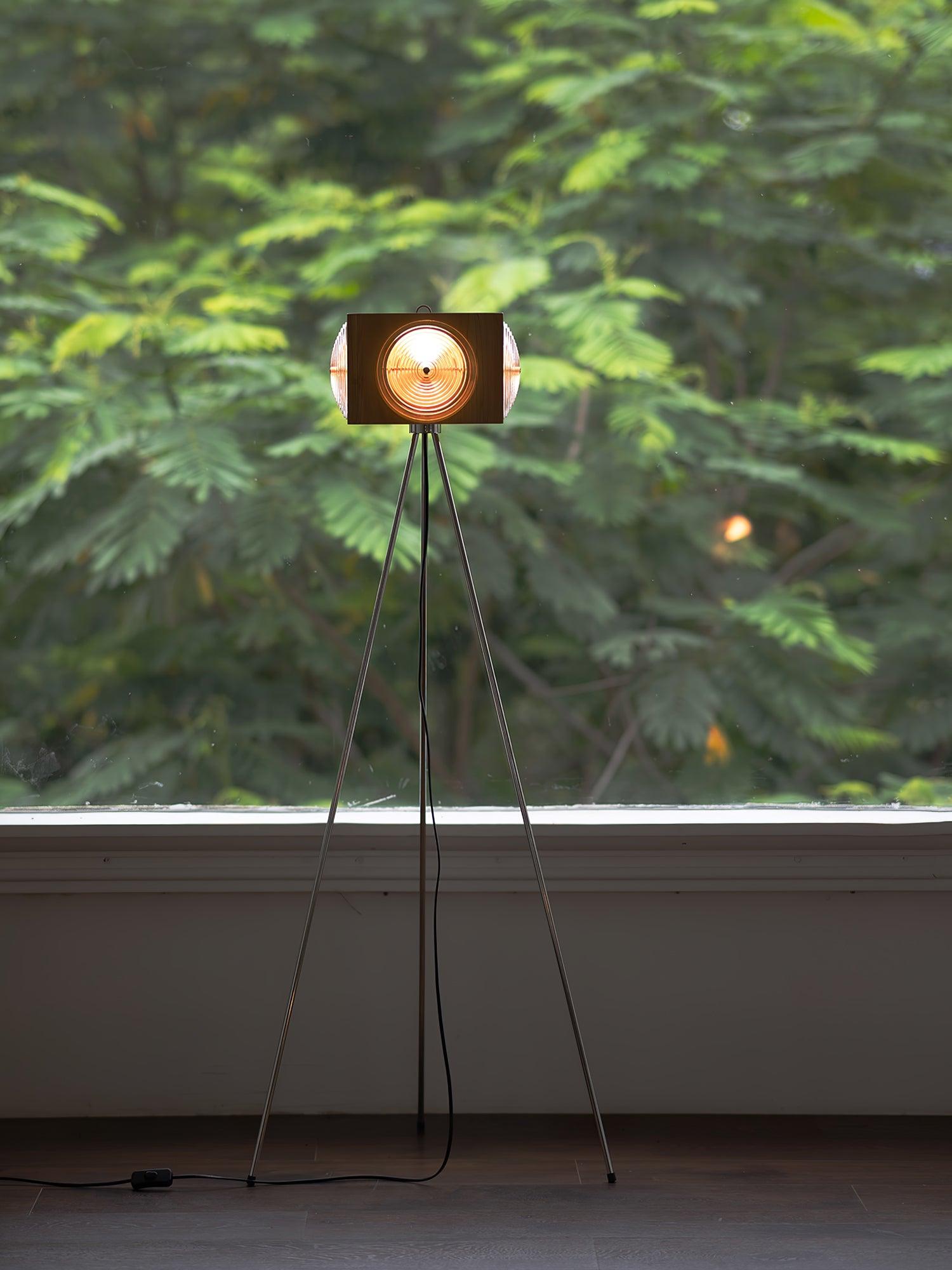 Dionna Camera Floor Lamp